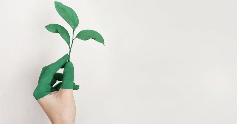 Growth Mindset - Person's Left Hand Holding Green Leaf Plant